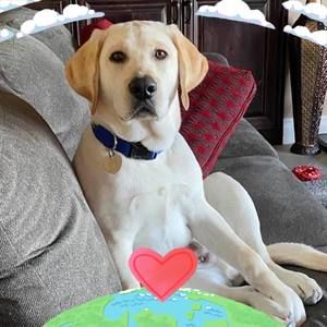 Meet your Posher, Carolyn huey